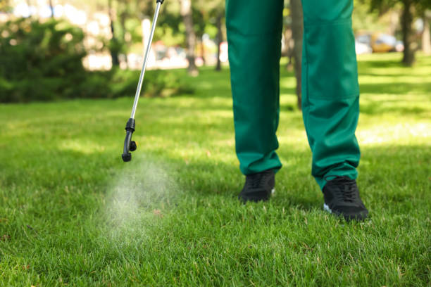Best Affordable Pest Control Services  in Washoe Valley, NV