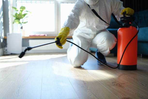 Best Exterminator Services  in Washoe Valley, NV