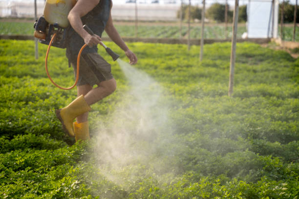 Best Pest Control Near Me  in Washoe Valley, NV
