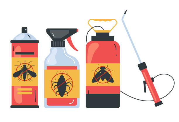 Best Affordable Pest Control Services  in Washoe Valley, NV