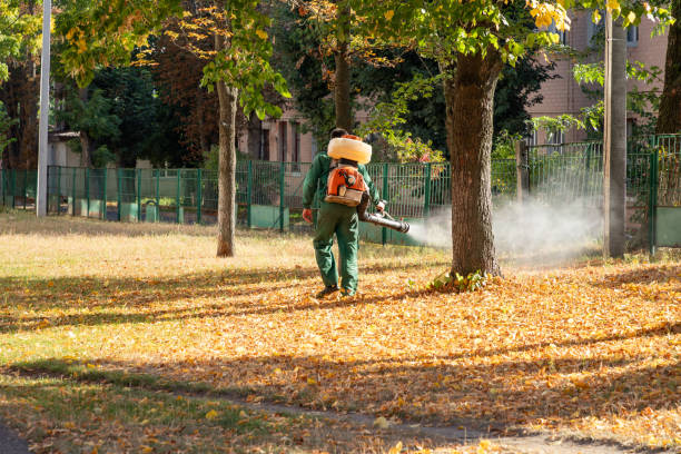 Best Pest Prevention Services  in Washoe Valley, NV