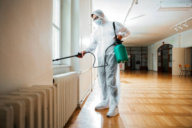 Best Affordable Pest Control Services  in Washoe Valley, NV