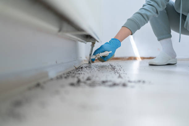 Best Best Pest Control Companies  in Washoe Valley, NV